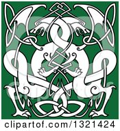Poster, Art Print Of White Celtic Knot Dragons On Green 3