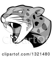Poster, Art Print Of Roaring Grayscale Angry Jaguar Or Leopard Big Cat Head