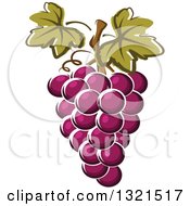 Cartoon Purple Grapes