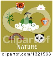 Poster, Art Print Of Flat Design Asian Animals And Items With Text On Green