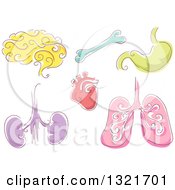 Clipart Of Sketched Human Organs Royalty Free Vector Illustration