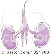 Clipart Of Sketched Purple Human Kidneys Royalty Free Vector Illustration