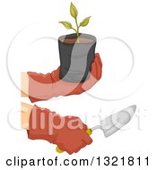 Poster, Art Print Of Gloved Gardener Hands Holding A Sapling Plant And Spade