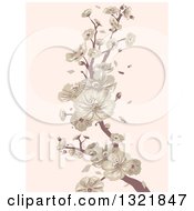 Poster, Art Print Of Vintage Cherry Blossom Branch On Pastel Pink