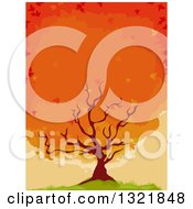 Poster, Art Print Of Flaming Maple Tree On A Hill