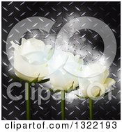 3d White Roses Over Glowing Flares And Diamond Plate Metal
