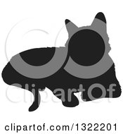 Poster, Art Print Of Black Resting Cat Silhouette