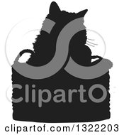 Poster, Art Print Of Black Cat In A Basket Silhouette