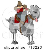 Silly Cowboy Riding A Giant Great Dane Instead Of A Horse