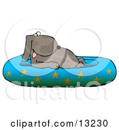 Happy Dog Soaking In A Kiddie Pool Decorated With Starfish by djart