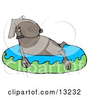 Cute Dog Soaking In A Kiddie Pool To Cool Off On A Hot Summer Day by djart