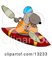 Sporty Dog Wearing A Life Jacket And Kayaking