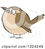 Poster, Art Print Of Cartoon Chubby Wren Bird