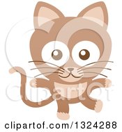 Poster, Art Print Of Cartoon Brown Baby Cat