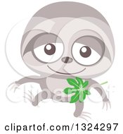 Cartoon Baby Sloth
