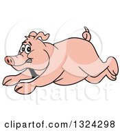 Poster, Art Print Of Cartoon Scared Pig Running