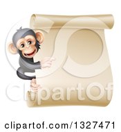 Poster, Art Print Of Happy Chimpanzee Monkey Clinging To The Side Of A Blank Parchment Scroll And Pointing