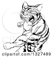 Poster, Art Print Of Black And White Vicious Roaring Muscular Tiger Man Punching 2