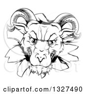 Poster, Art Print Of Black And White Angry Snarling Ram Breaking Through A Wall