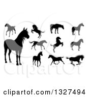 Poster, Art Print Of Black Silhouetted Horses 2