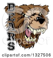 Poster, Art Print Of Roaring Aggressive Bear Mascot Head With Text