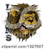 Poster, Art Print Of Aggressive Male Lion Roaring Mascot And Text