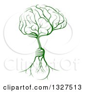Poster, Art Print Of Green Tree With Light Bulb Roots And A Brain Canopy