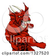 Poster, Art Print Of Muscular Fighting Red Dragon Man Punching
