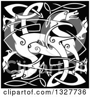 Clipart Of A White Celtic Knot Dragons On Black 5 Royalty Free Vector Illustration