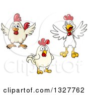 Poster, Art Print Of Cartoon White Chickens