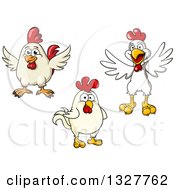 Clipart Of Cartoon White Chickens Royalty Free Vector Illustration