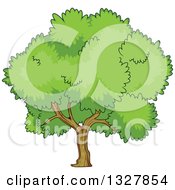 Clipart Of A Cartoon Tree With A Lush Green Mature Canopy Royalty Free Vector Illustration