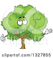 Clipart Of A Cartoon Tree Character With A Lush Green Mature Canopy Presenting And Giving A Thumb Up Royalty Free Vector Illustration