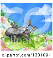 Poster, Art Print Of Happy Spider On A Dewy Leaf Over Flowers Grass And Blue Sky