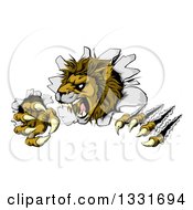 Poster, Art Print Of Roaring Lion Mascot Slashing Through A Wall