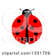 Poster, Art Print Of Ladybug On White
