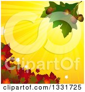 Poster, Art Print Of 3d Green Oak Leaves With Acorns Over Yellow Sun Rays And Autumn Foliage