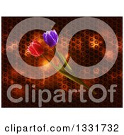 Clipart Of 3d Purple And Red Tulip Flowers Over Honeycomb Patterned Metal And Flares Royalty Free Vector Illustration