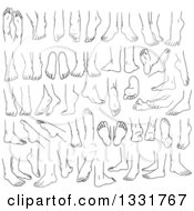 Clipart Of Cartoon Black And White Male And Female Feet 2 Royalty Free Vector Illustration by Liron Peer