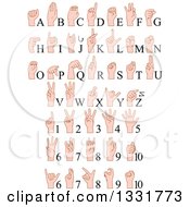 Poster, Art Print Of Cartoon Caucasian Alphabet Sign Language Hands And Numbers