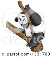 Poster, Art Print Of Panda Climbing A Tree