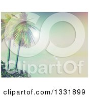 3d Tropical Island With Palm Trees And Shrubs A Still Foggy Bay And Mountains