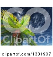 Poster, Art Print Of 3d View Looking Up At A Tropical Palm Tree Against Blue Sky With Wispy Clouds