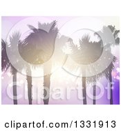 Poster, Art Print Of Background Of Silhouetted Palm Trees With A Sunset Shining Through The Branches Over Purple Flares