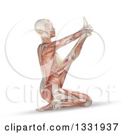 Poster, Art Print Of 3d Anatomical Woman With Visible Muscles Stretching In A Yoga Pose On White