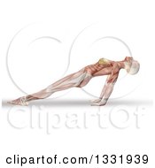 Poster, Art Print Of 3d Anatomical Woman Stretching In A Yoga Pose Her Arms Under Her With Visible Muscles On White