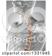 Clipart Of A 3d Anatomical Male Xray With Glowing Spinal Disks On Gray Royalty Free Illustration