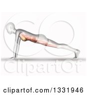 Poster, Art Print Of 3d Anatomical Woman Stretching In A Yoga Pose Or Doing Push Ups With Visible Front Side Muscles On White