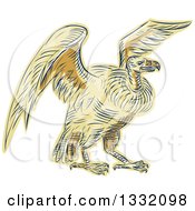 Retro Sketched Or Engraved Turkey Vulture Buzzard Condor Bird