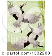 Crane Pair Flying By Bamboo